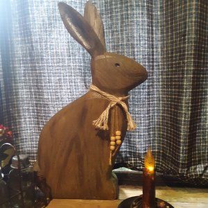 Beautiful Large Rabbit